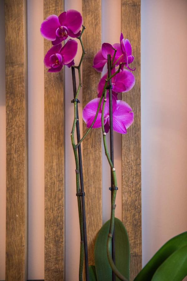 Apartament Downtown Oasis Dubrownik Zewnętrze zdjęcie